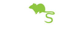 pest control essex
